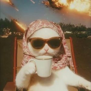 Meet your Posher, Cecia